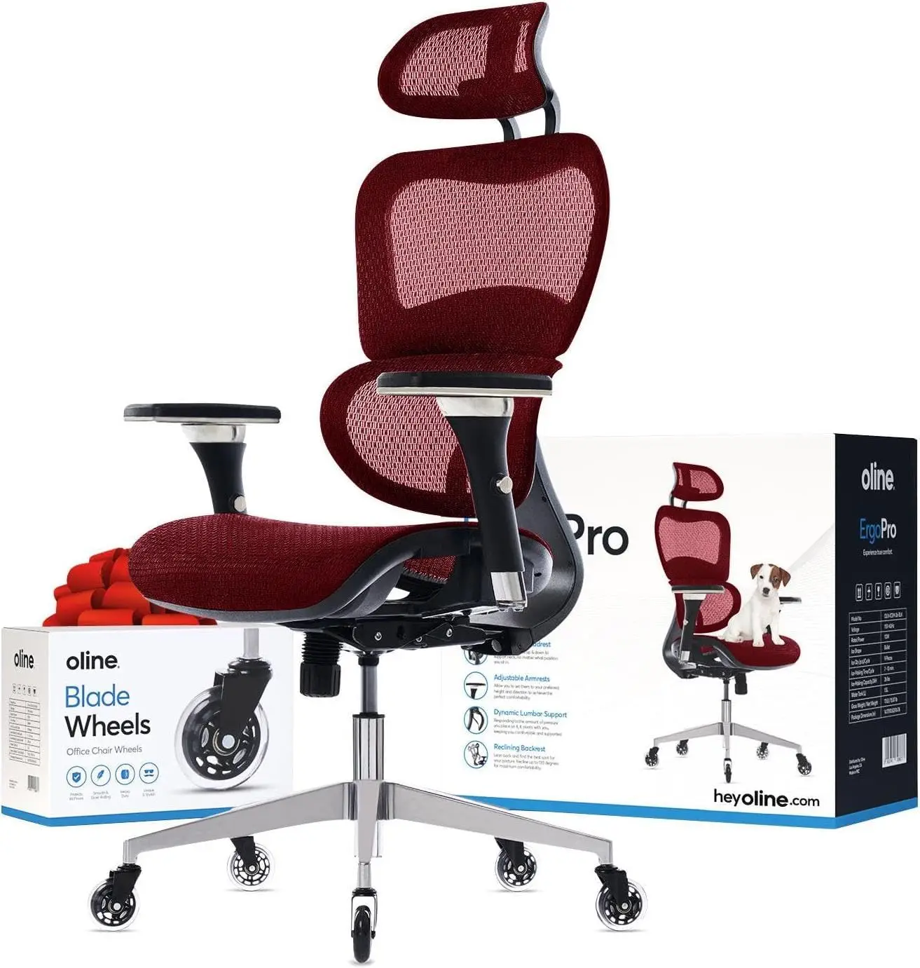 

ErgoPro Ergonomic Office Chair - Rolling Desk Chair with 4D Adjustable Armrest, 3D Lumbar Support and Blade Wheels