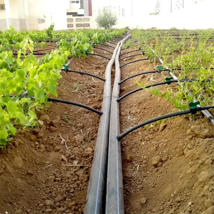 Agricultural Drip Irrigation System Kit 1 Hectare Farm Irrigation Systems Irrigation Complete System