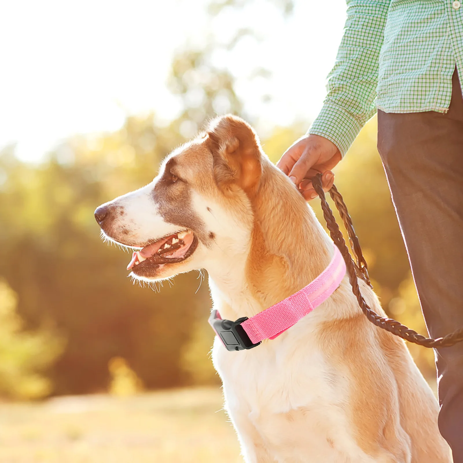 

Fine Workmanship Pet Collar Comfortable Glowing Dog Neck Adornment Perfect for All Breeds