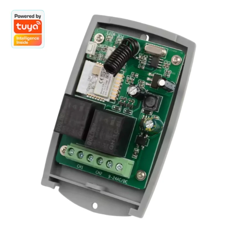 Tuya Inteligente Controle Remoto WiFi Módulo Interruptor Sem Fio, 2CH Polegadas, Auto-Locking, RF 433 Receptor, 10A