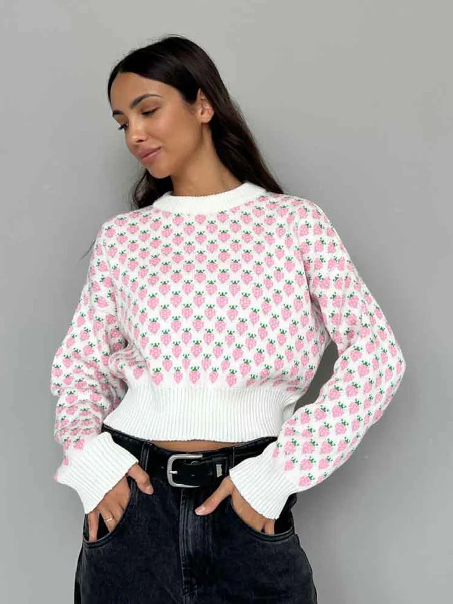 Bornladies 여성 가을 ​​겨울 새로운 딸기 자카드 스웨터 o 넥 긴 소매 루즈 피트 캐주얼 점퍼