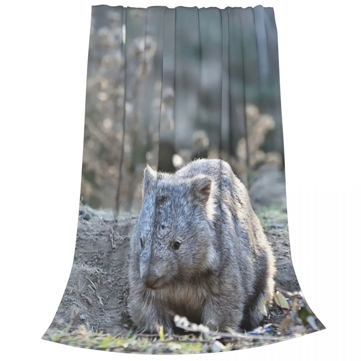 Wombat In The Sun Blankets Fleece Super Soft Sofa Throw Blankets For Home Bedroom Travel Throws Bedspread Quilt