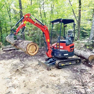 حفارات مجنزرة من نماذج مختلفة ، من 0.8 طن إلى 5 أطنان ، مصنوعة في الصين وهي فعالة من حيث التكلفة. أفضل 12 حفارة صغيرة 8 طن - رقم 12