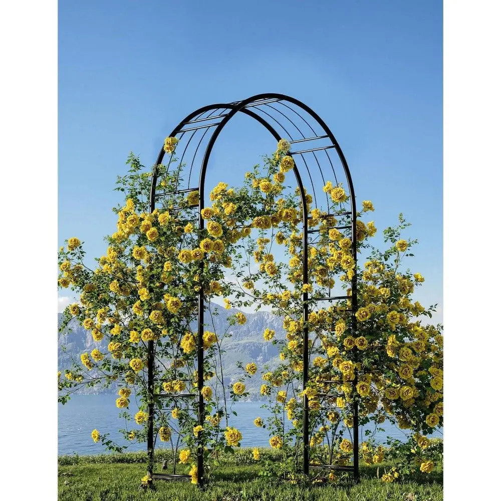 Curved Top Decorative Metal Arbor Archway for Garden Pathways Optional Climbing Plant Framework Pavilion