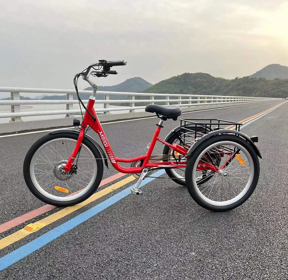 

EZREAL 7 Days Delivery Cargo Electric Bike Adult Electric Tricycle Electric 3 Wheel Electric Trike E bike in USA Warehouse