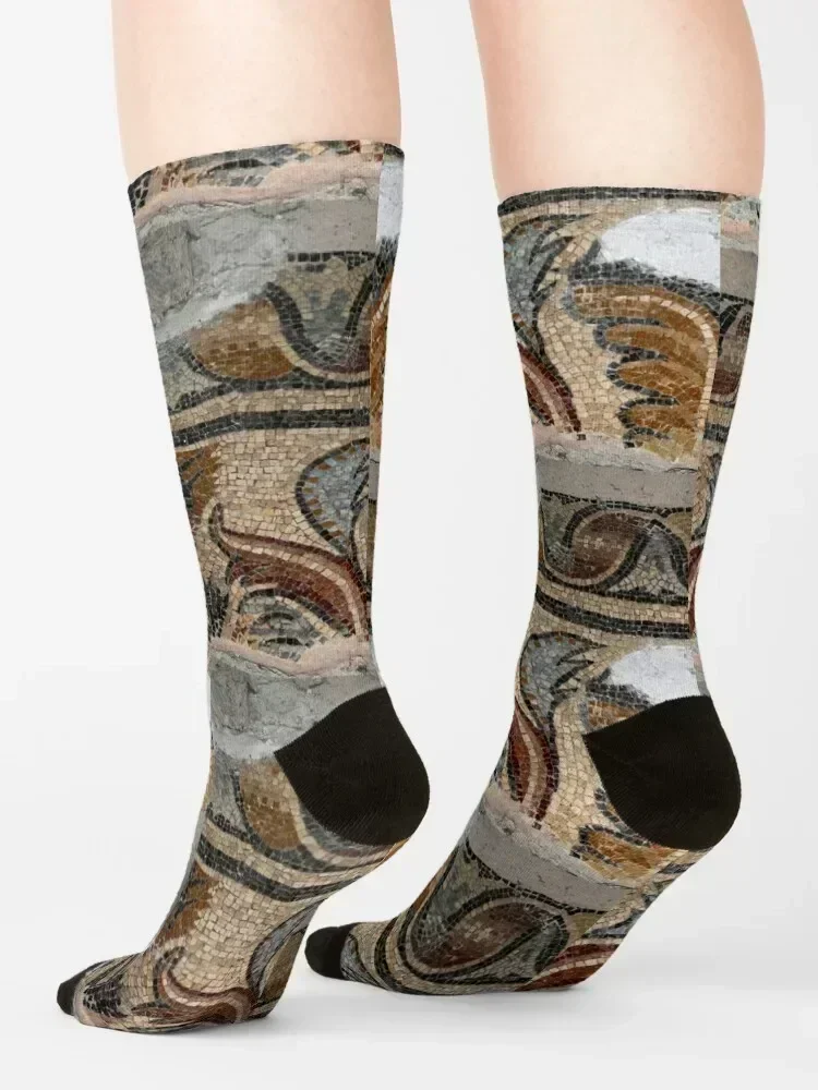 Roman mosaic preserved in Aix-en-Provence cathedral Socks new year anti-slip gifts hiphop Woman Socks Men's
