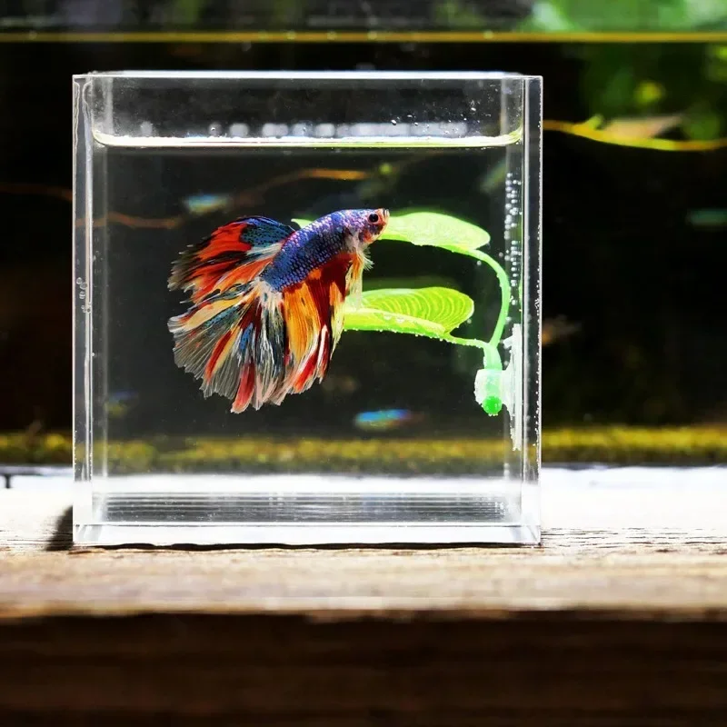 

Betta Fish Rest Aquarium Leaf Plants Decoration Spawning Ornamental Plant Betta Fish Play Relax Artificial Hide Leaf Hammock