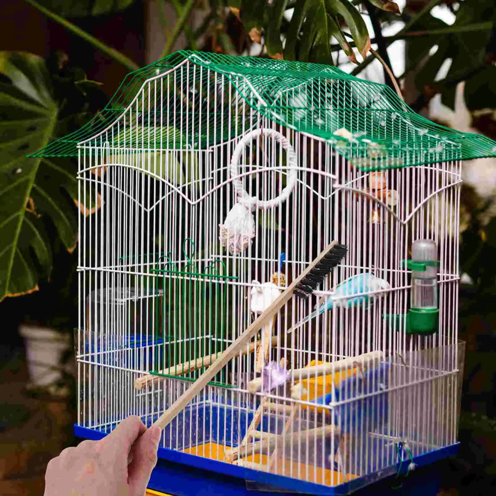 3 Pcs Cleaning Brush for Bird Cage Wipes Parrot Birds Tool Bamboo Rabbit Accessories