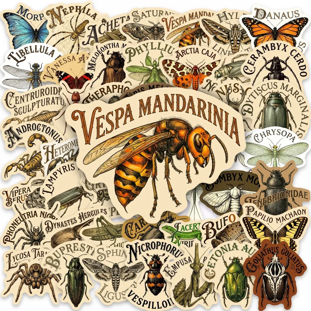 50Pcs Hand‑drawn Vintage Nature Insect Specimen Stickers, Waterproof Decals, Personalized DIY Decor Giajar Sticker Store
