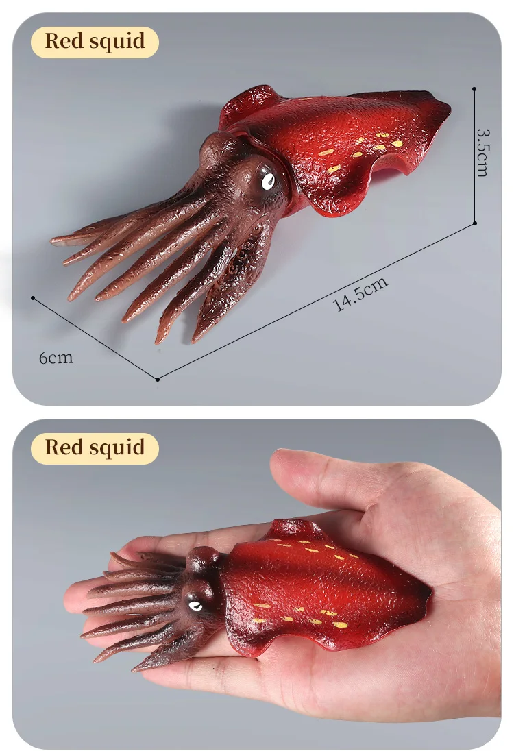 Pädagogische Marine Molluscs ModelToys – Simulation Tintenfisch Oktopus Wachstumszyklus Actionfigur für Kinder Sealife Animal Collection – Detail 13