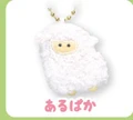 alpaca