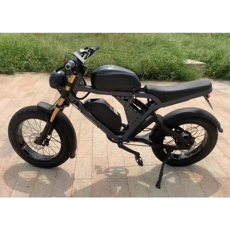 

Factory Sale 1500W Aluminium Alloy Electric Assist Bicycle with 48V Dual Motor & Oil Brake Power by Lithium Battery