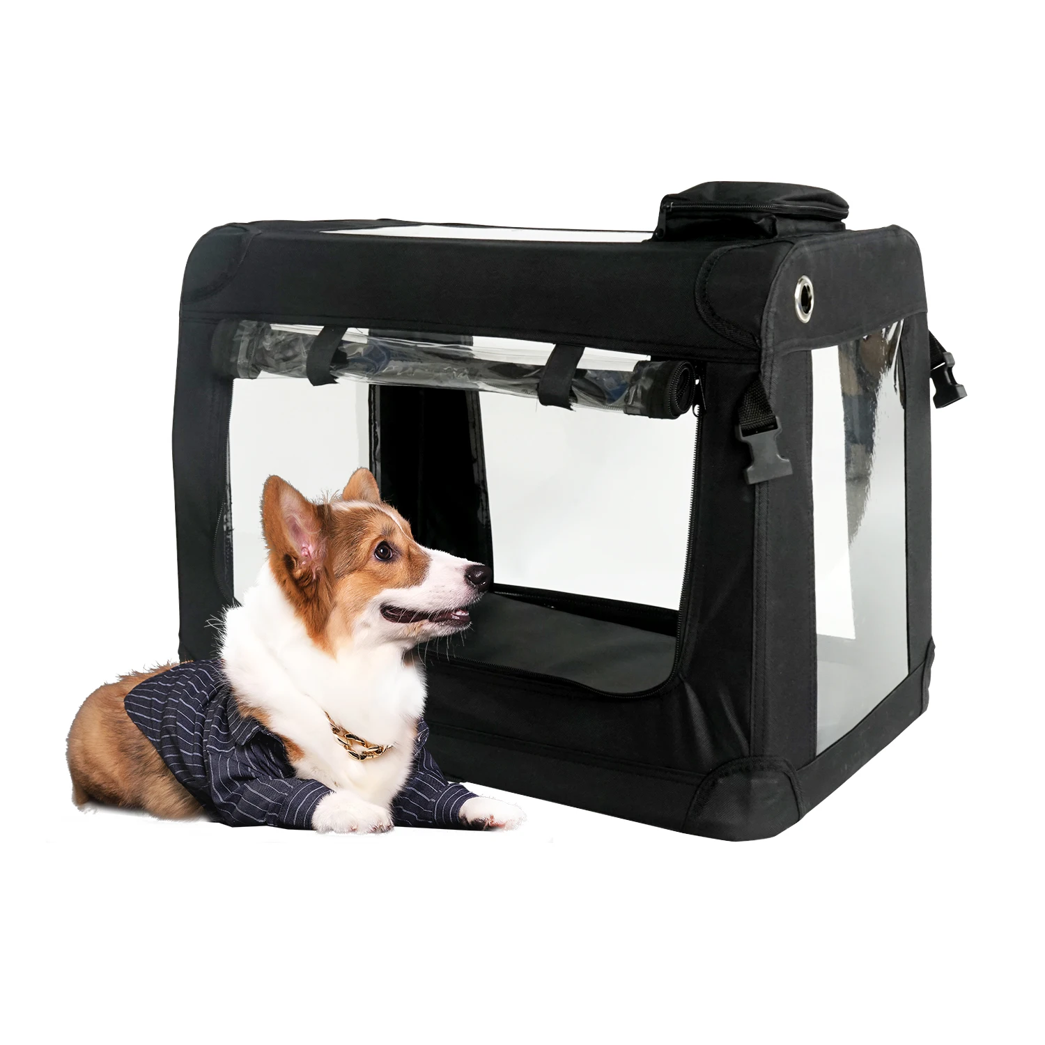 Veterinary Oxygen Therapy Cage For Small Dog With Pet Hospital Oxygen Concentrator