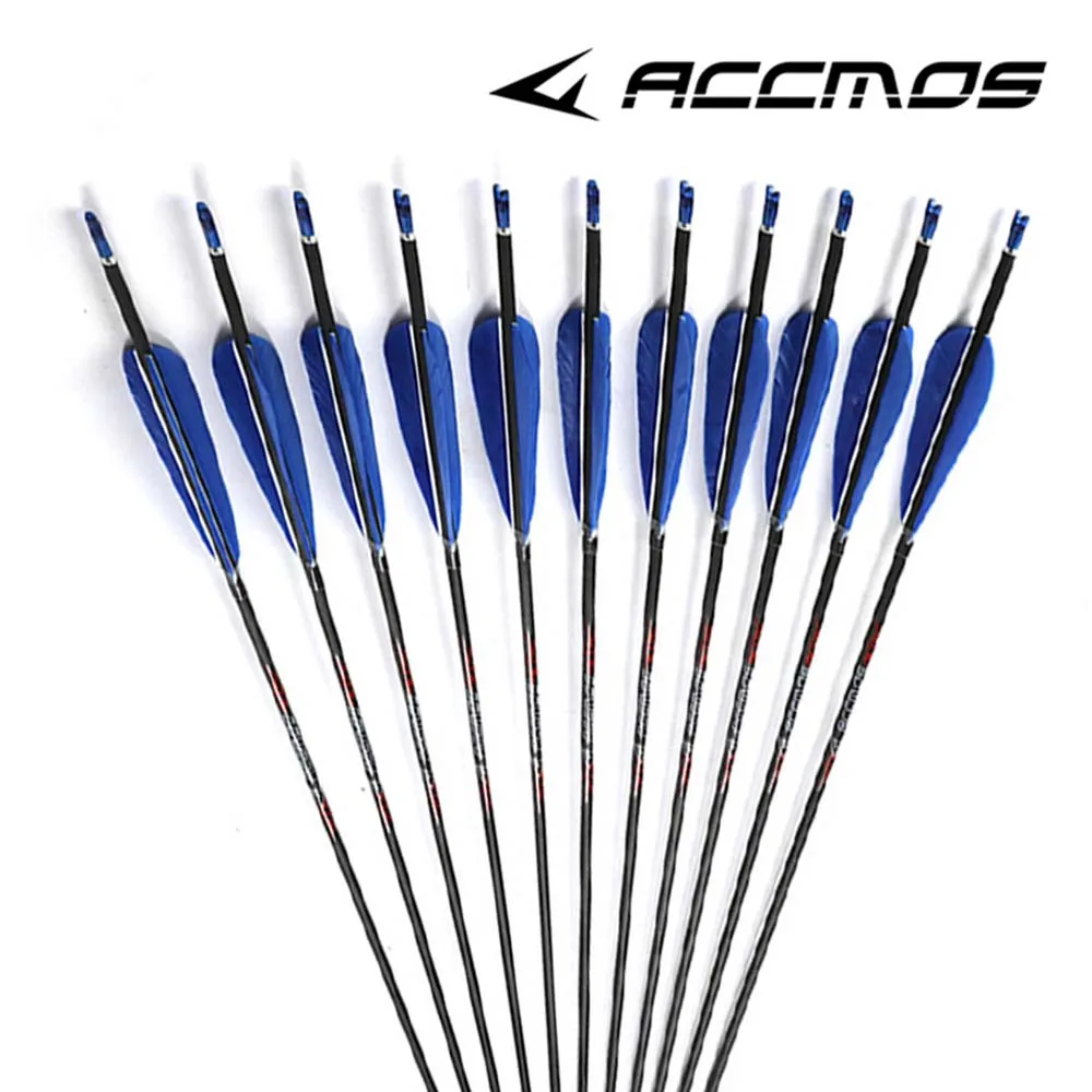 Imagem -06 - Arco e Flecha de Carbono para Bow Shooting id 300 350 400 500 600 700 800 900 1000 1100 1300 1500 4.2 mm Spine Pcs Peças 12