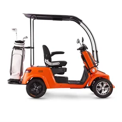 4 seater golf cart with gas or electric power