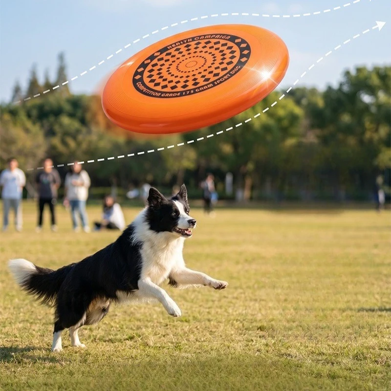 Frisbee pour chien 27CM, durab - Frisbee Freestyle Disc avis et prix