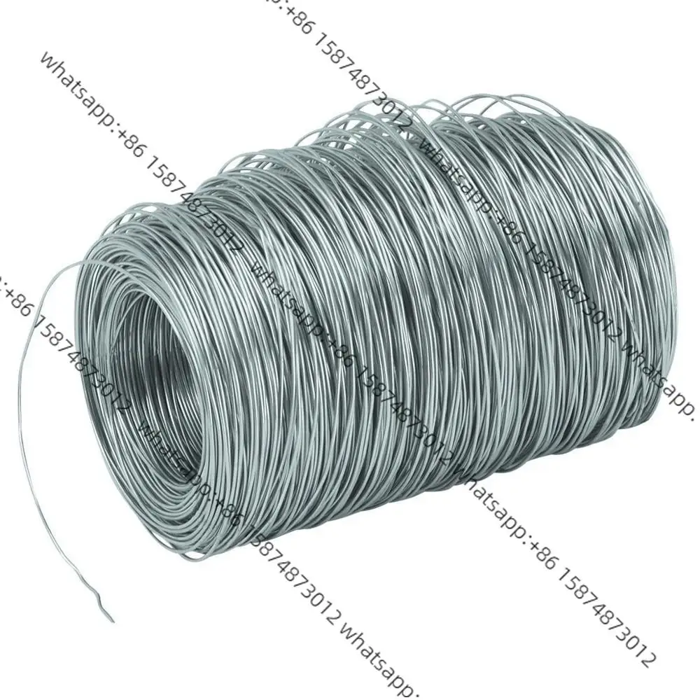 202 301 302 304 304L 316L أسلاك الفولاذ المقاوم للصدأ، سلك مرن من الفولاذ المقاوم للصدأ بسمك 1 مم #3