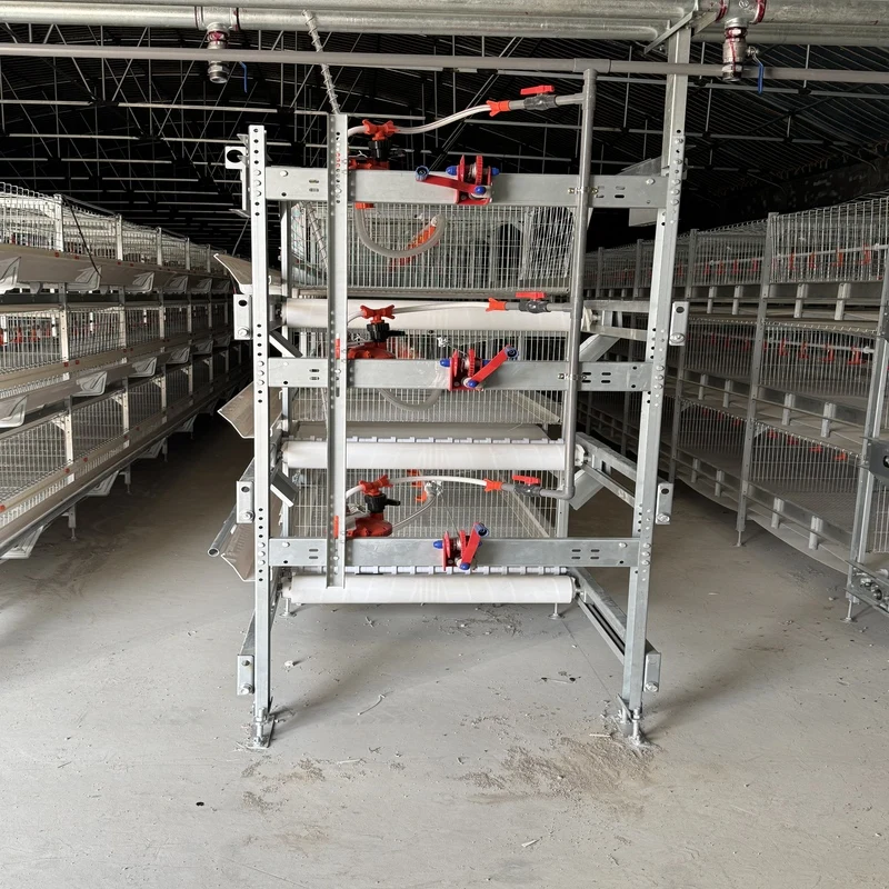 New Kenya Nigeria Egg Farming Automatic H Type Layer Battery Cage with Hot Dip Galvanized Steel and Egg Collection System