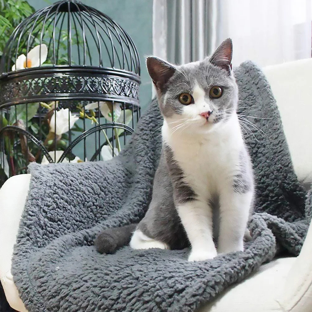 

2pcs Blanket Warm Wool Pad for Pets Blanket Dog Cat Bed Cover Sleeping Mat Lightweight Comfortable Pet Supplies