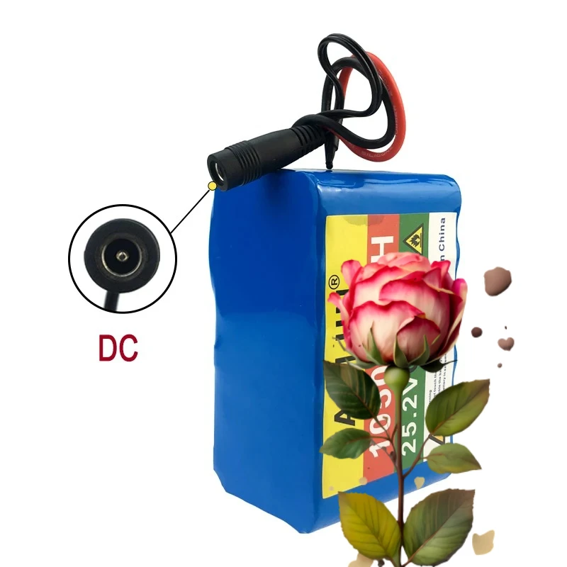 6S3P Battery Pack  25.2V battery 10500mAh 18650 Lithium battery 10.5A BMS Power