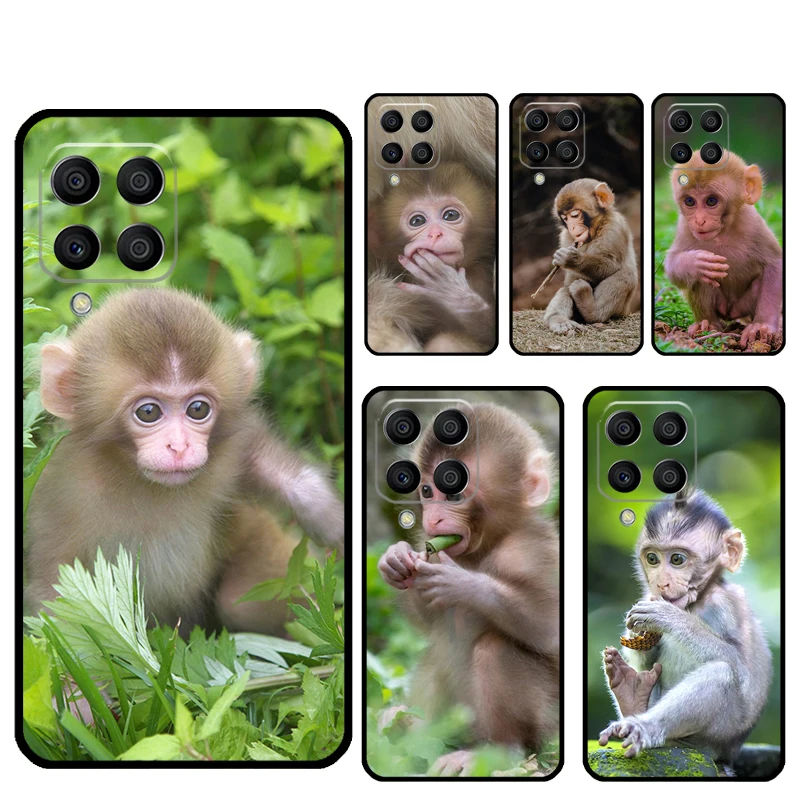 Cute Baby Monkey An…