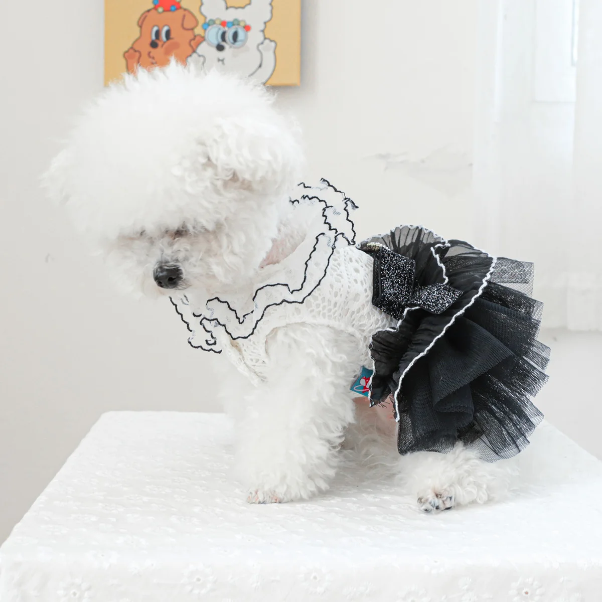 1PC Pet Clothes Spring and Autumn White Black # 19 Wedding Dress Princess Dress Suitable for Small and Medium sized Dogs