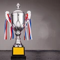 Silver with Lid