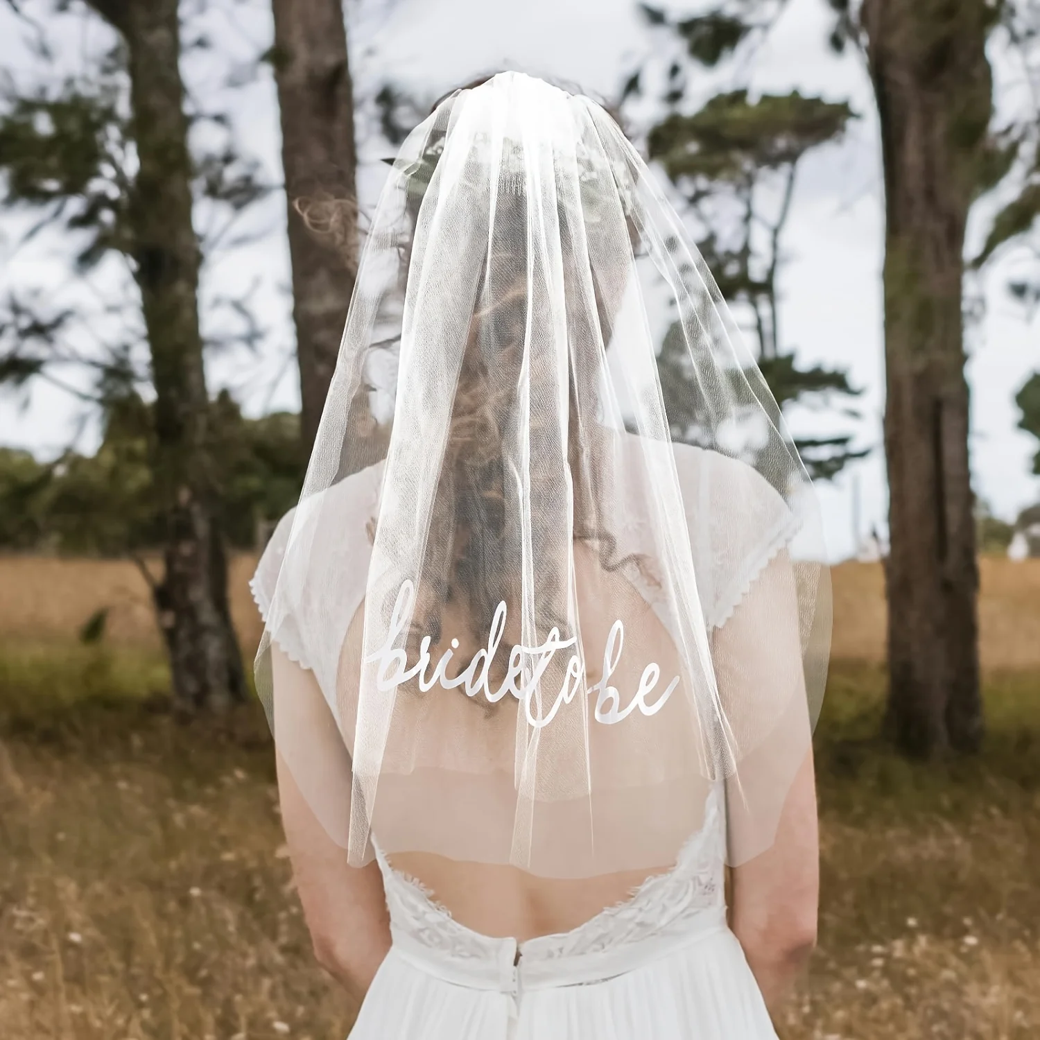 Weddings & Events