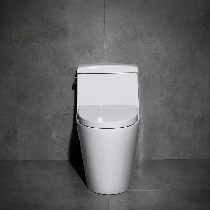 Ceramic Siphon Toilet Household Silent Deodorant Water Saving Swirl Flush Enlarged Pipe Personalized Seat