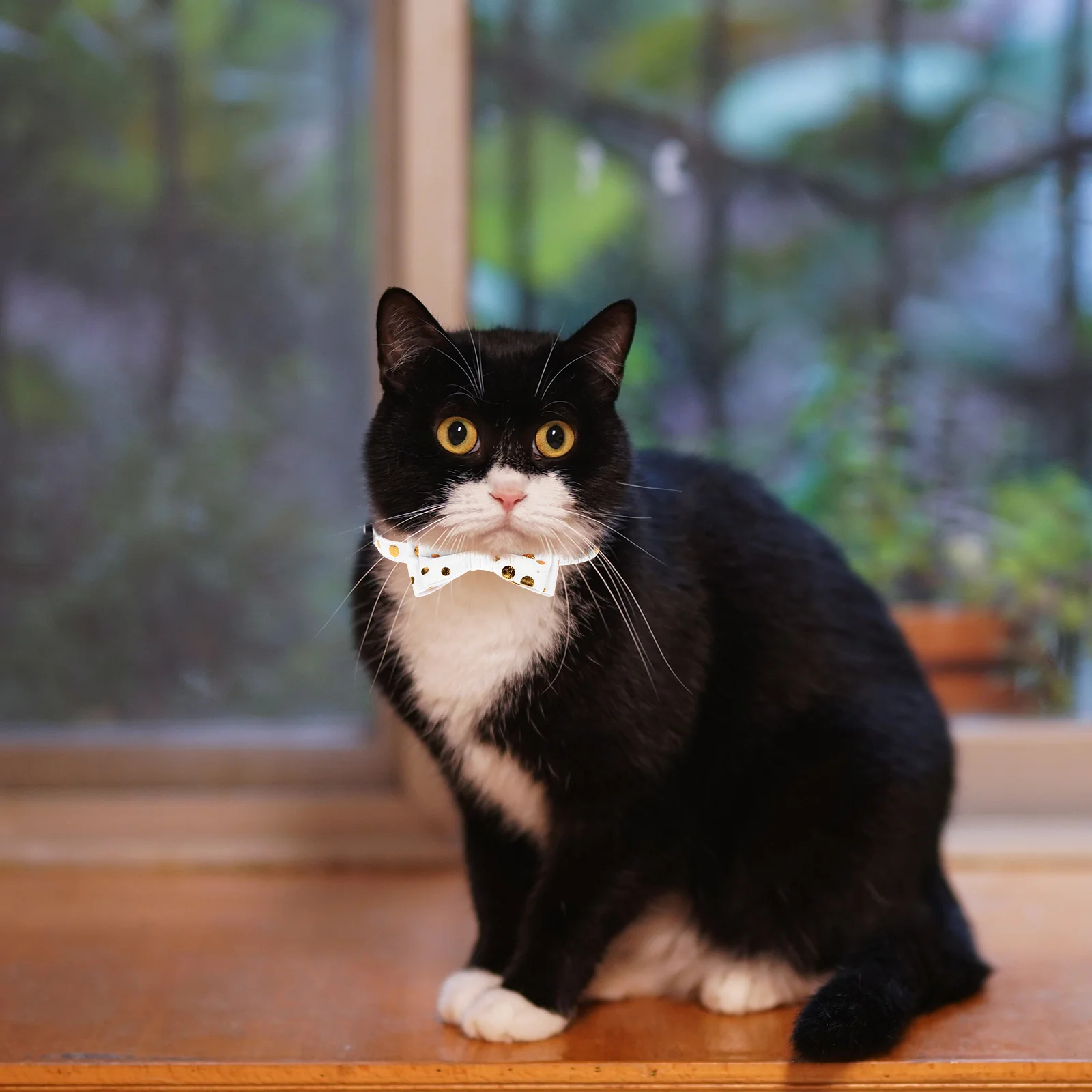 

Butterfly Bow Cat Collar Adjustable Cotton Polyester Neck Decor Kitten Party Bell Shaped Pet Accessory Christmas Style