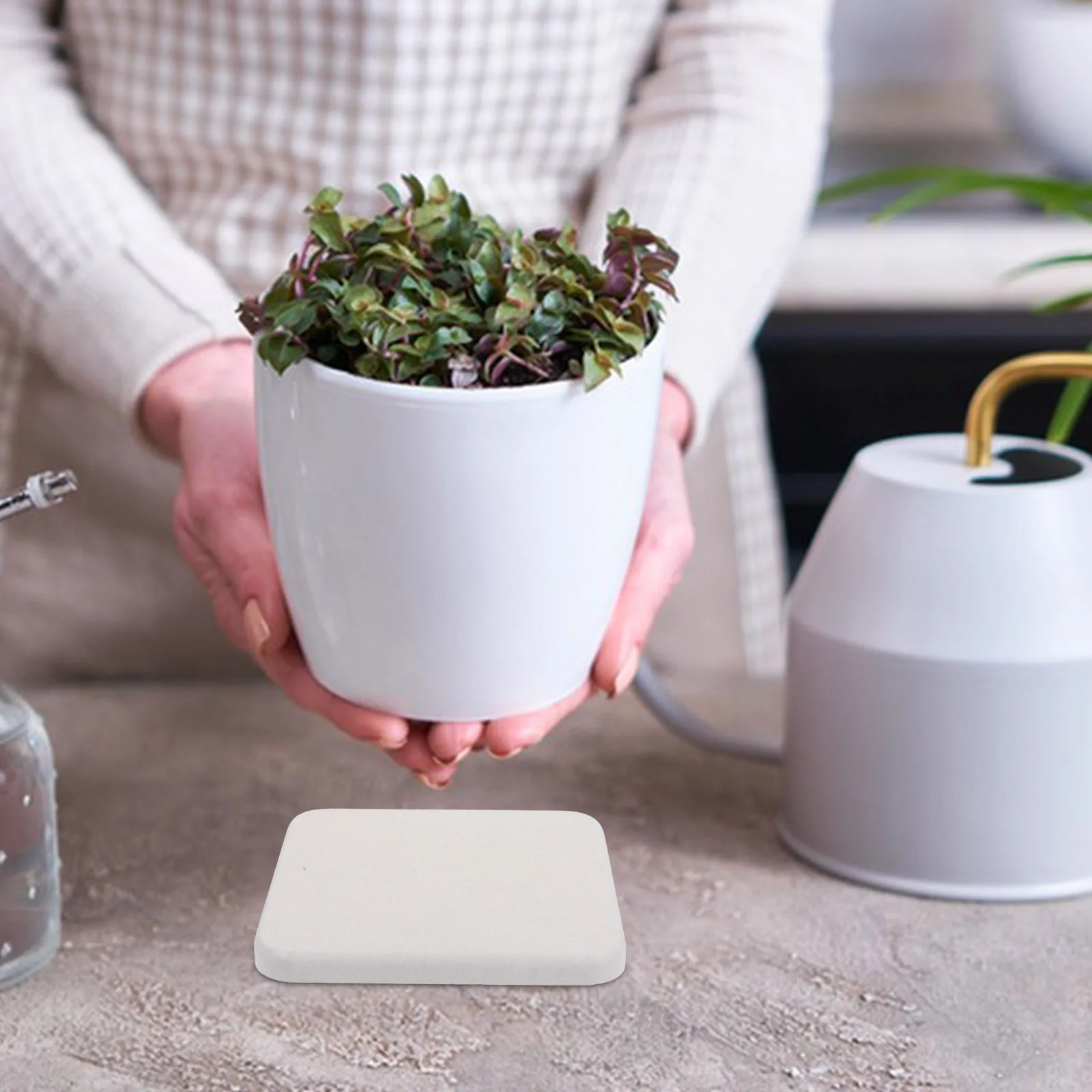 

5pcs Diatomite Mud Flowerpot Mats Instant Dry Super Absorbent Plant Coasters Indoor Tray Water Catcher Planter Saucers