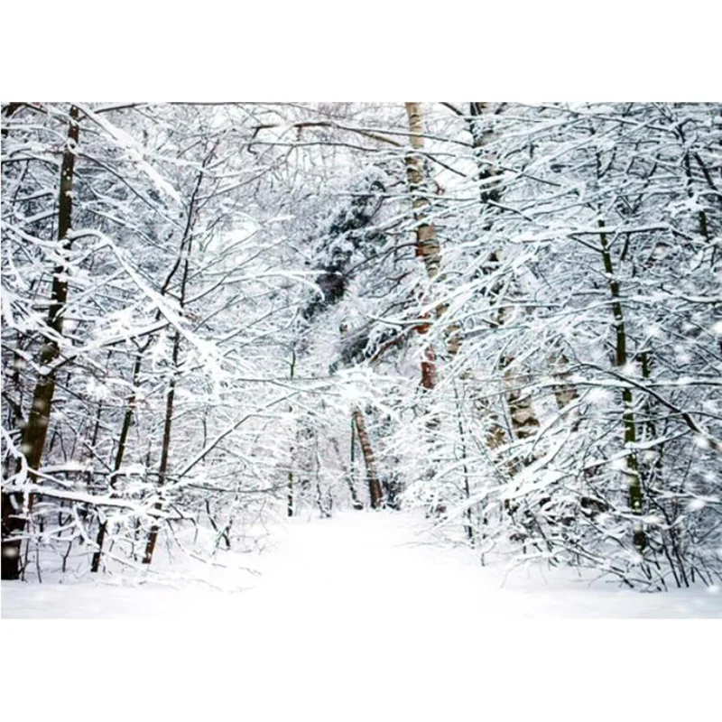 Christmas Day Landscape Pine Forest Photography Backdrops Mountain Snow Nature Background Winter Sky New Year Photo Props TW-06