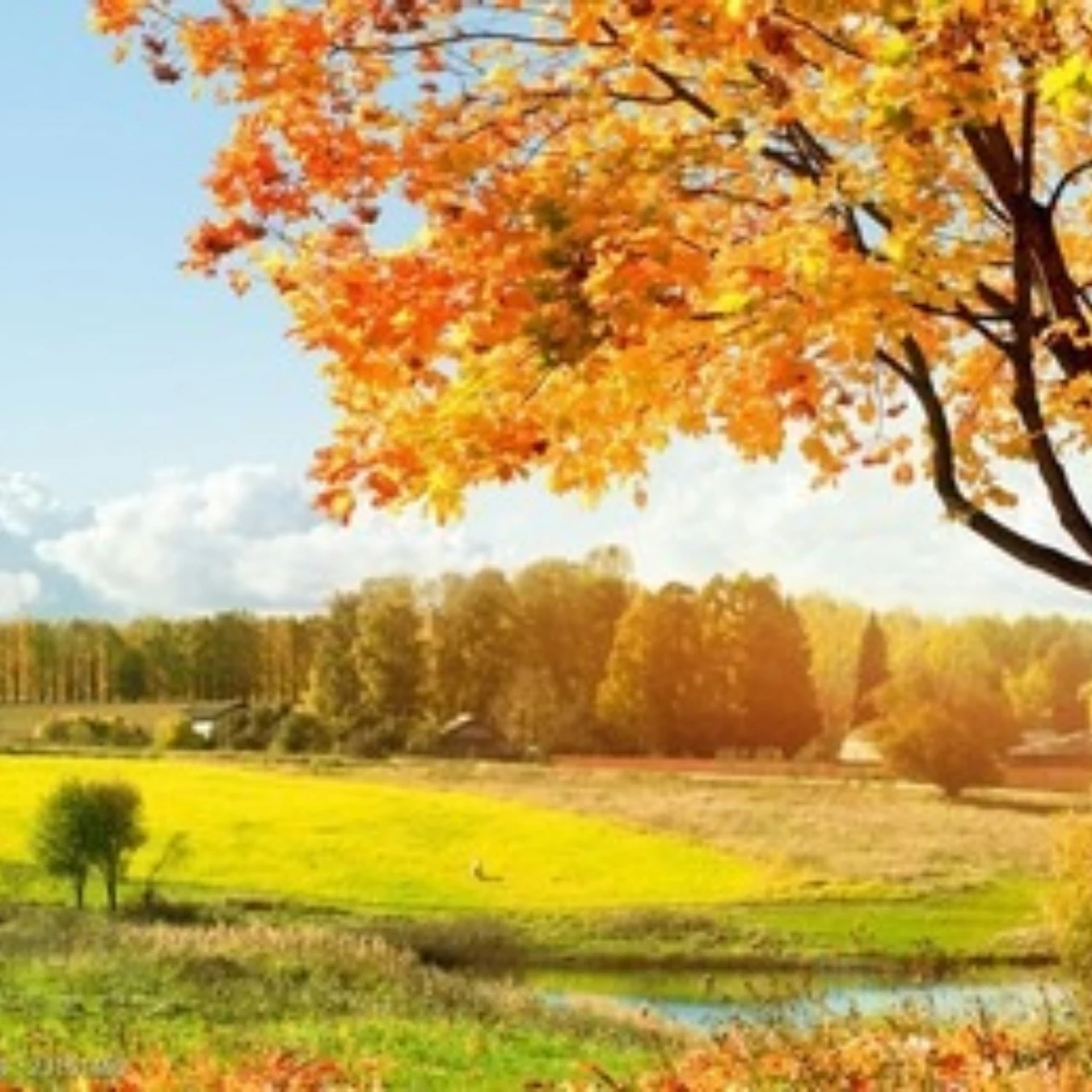 bras-de-suspension-arriere-en-alliage-pour-arrma-1-5-kraton-8s-kraton-exb-outcast-8s-outcast-exb-ara330565