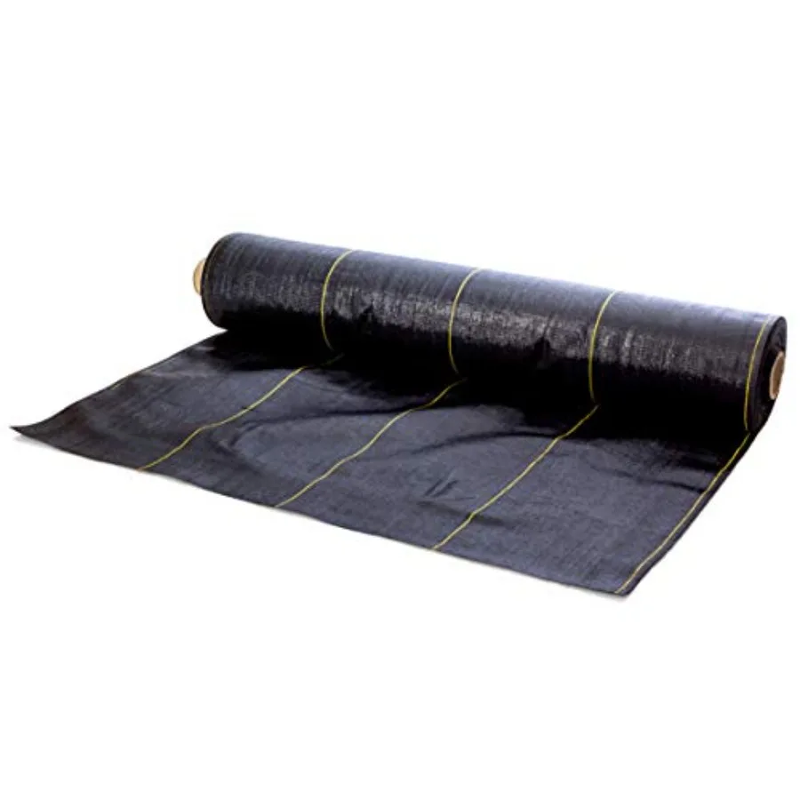 Be Cool Solutions G…