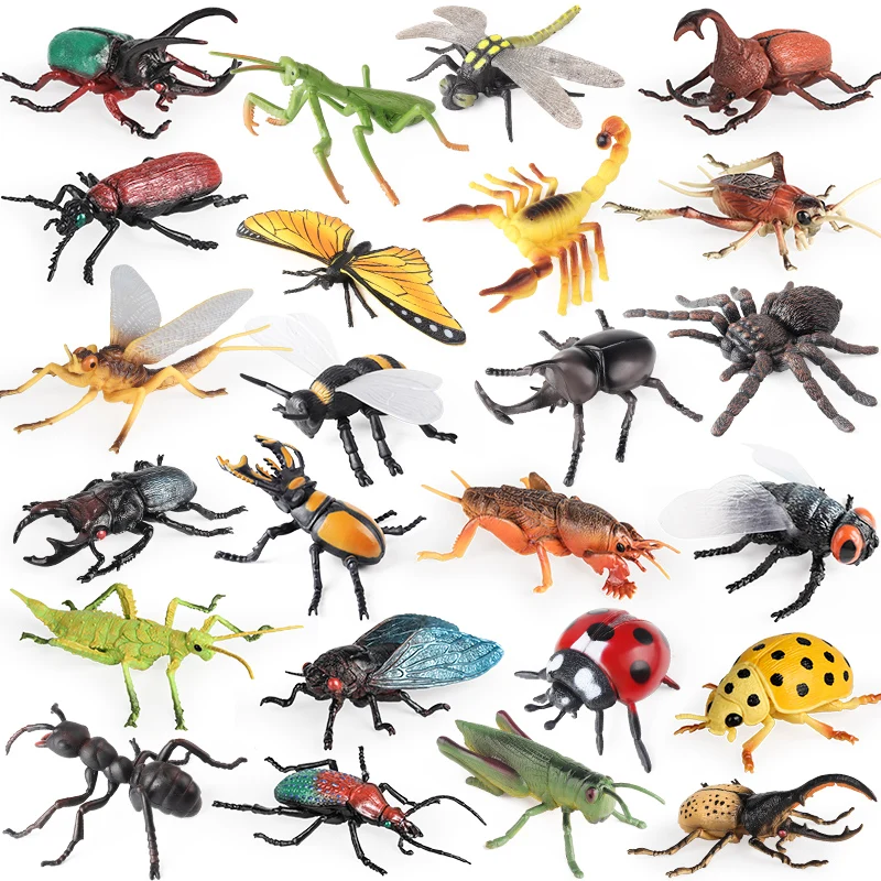 yZ[zOenux-̓̒u,IȃANVtBMA,,A,g{,N,I,J}L,T\,q̂,Mtg