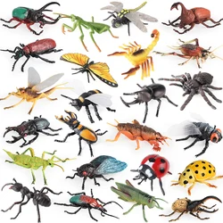 Oenux Insect Animals Model Figurine Butterfly Ant Dragonfly Spider Bee Mantis Scorpion Action Figures Educational Kid Toy Gift