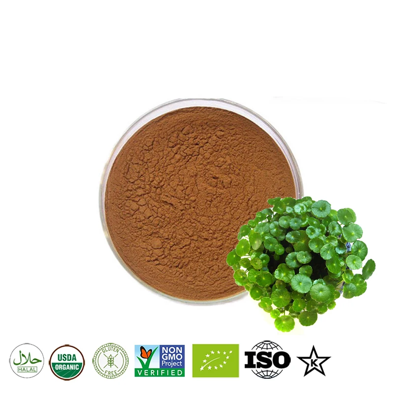 100 -1000g gotu Kola / polvo de Centella asiatica 20: 1, reconstrucción de la piel, antienvejecimiento, blanqueamiento, reparaci