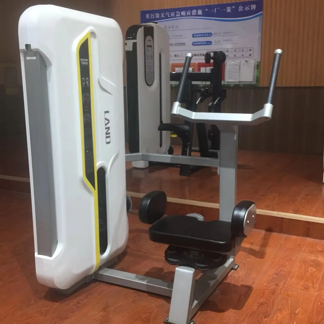 

Factory Price Gym Equipment Pin Loaded Strength Training Machine Rotary Torso for Sale