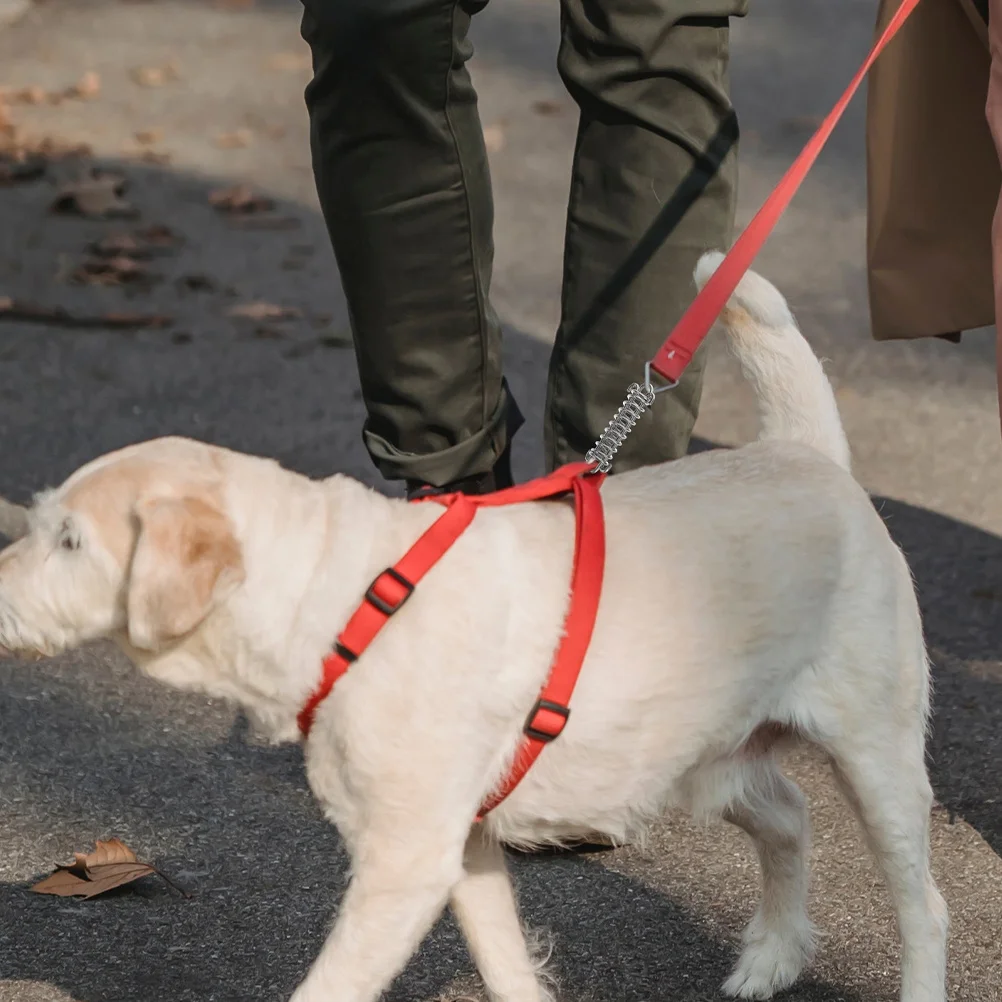 

2Pcs Dog Leash Shock Absorber Spring Heavy Duty Stainless Steel Explosionproof Shock Absorbing Outdoor Hiking Camping Leash