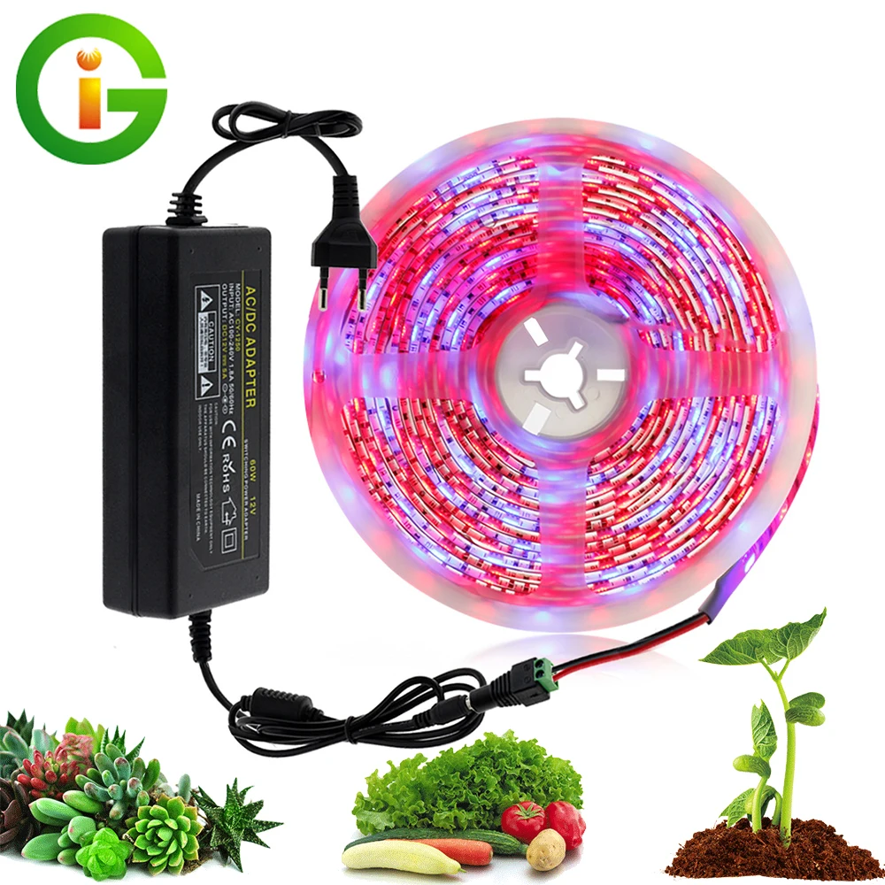 Plant Grow Lights 5M/Lot Waterproof Full Spectrum LED Strip Light 300LEDs 5050 Chip Flower Phyto Lamp for Greenhouse Hydroponic