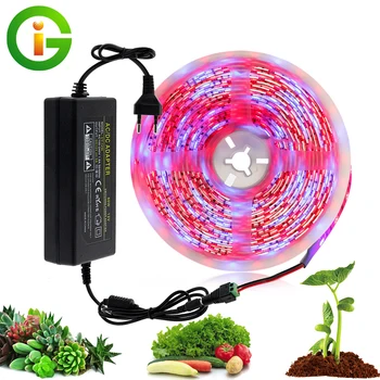 Plant Grow Lights 5M/Lot Waterproof Full Spectrum LED Strip Light 300 LED 5050 Chip Flower Phyto Lamp for Greenhouse Hydroponics