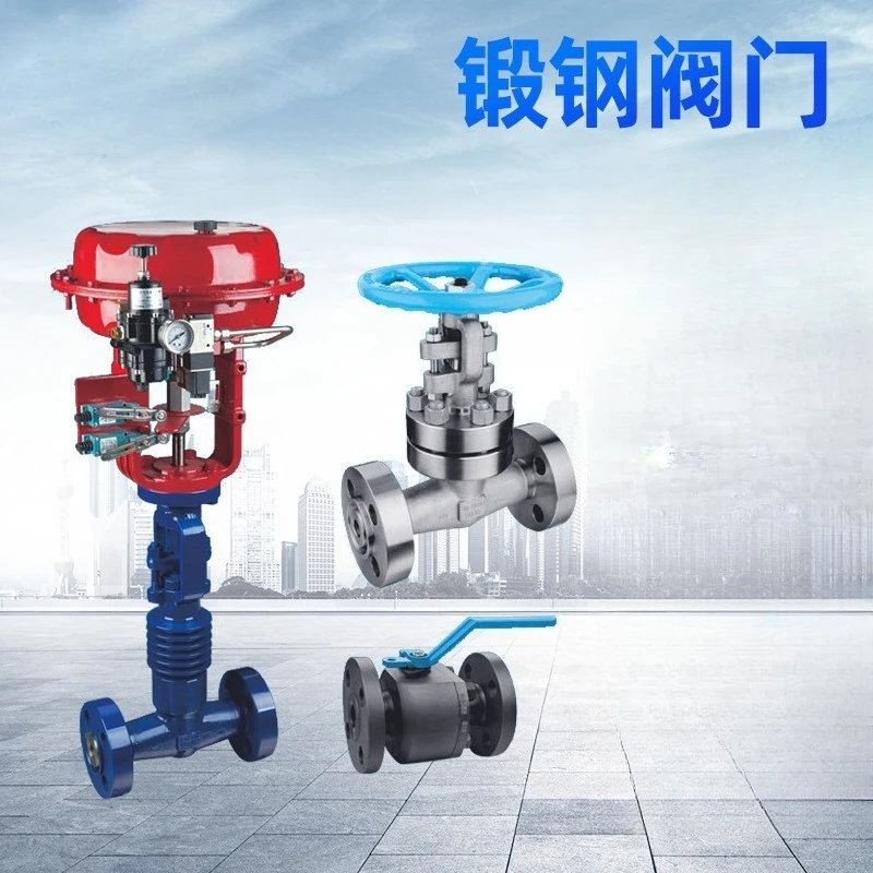 Forged steel valves, stainless steel flanges, self-operated differential pressure control valves, regulating valves