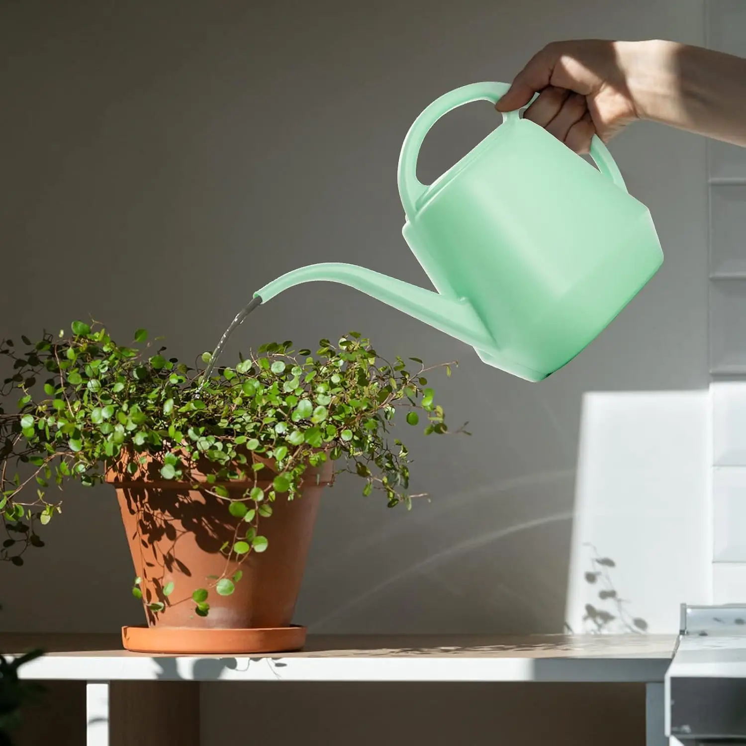 Plastic Watering Can 1 Gallon Pine Green with Long Spout for Indoor Outdoor Garden Plants view 6