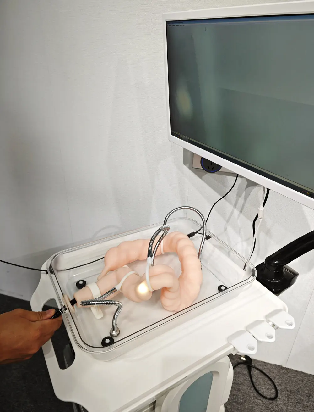 

Soft simulated colonoscopy training model