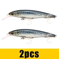 blue 2pcs