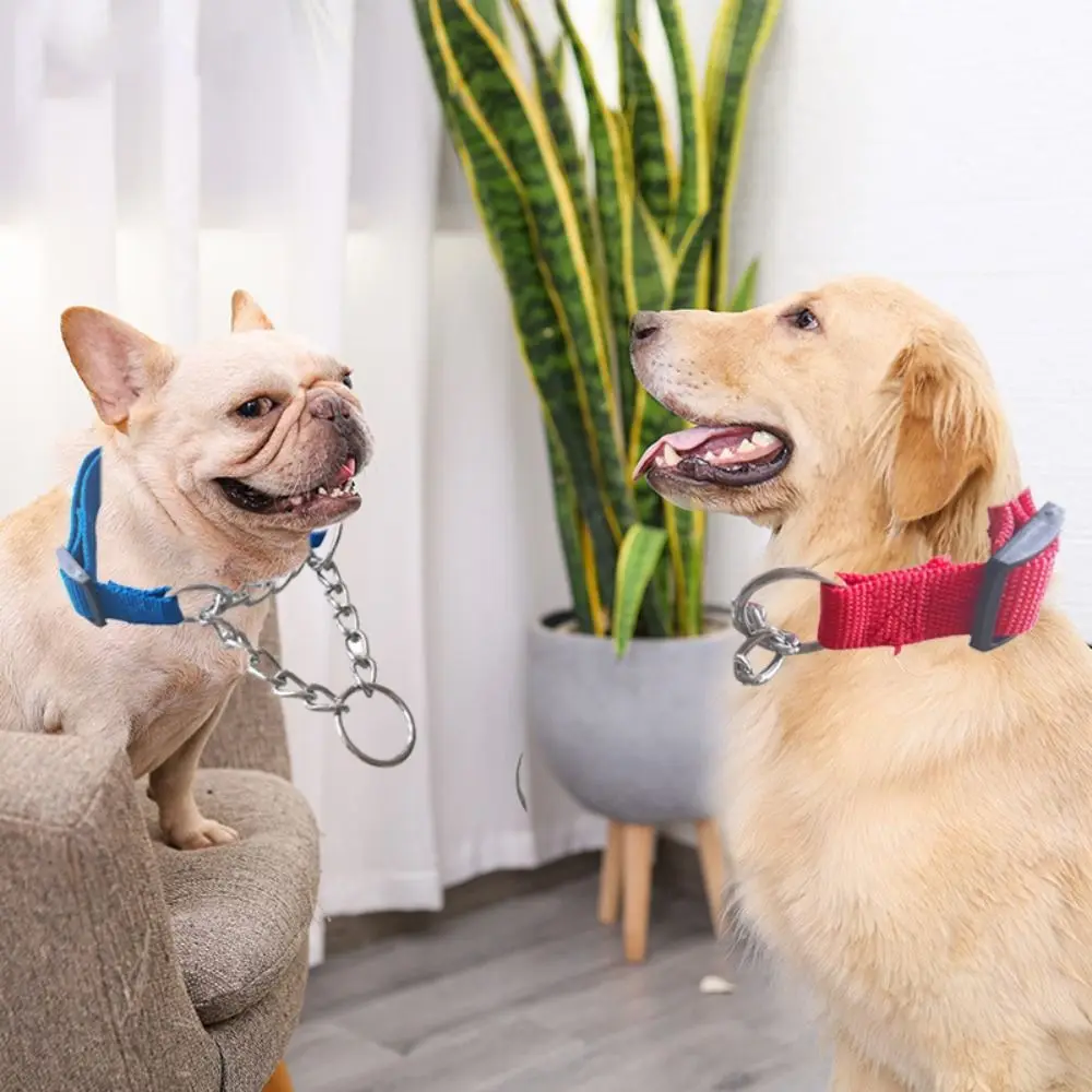 

Adjustable Dog Slip Pinch Collar Metal with Chain Dog Training Collar Nylon Dog Leash Necklace Outdoor