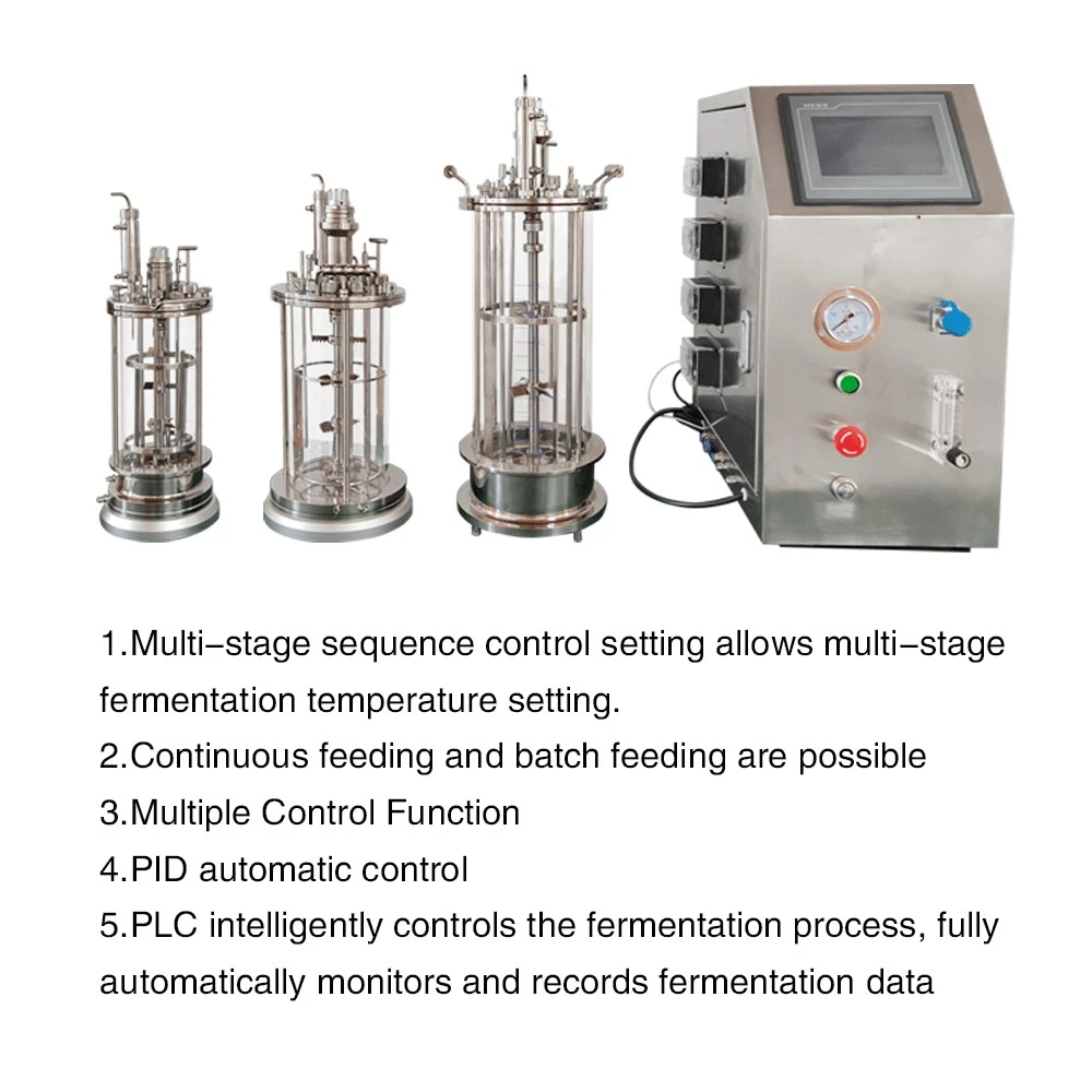 Lanphan Piccola Camera 1L 2L 3L 5L 7L Fermentatore Bioreattore Enzima a Stato Solido Spirulina Bioreattore Industriale