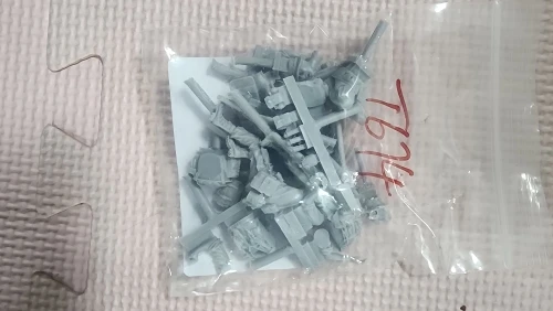 Buyer photo of this resin kit