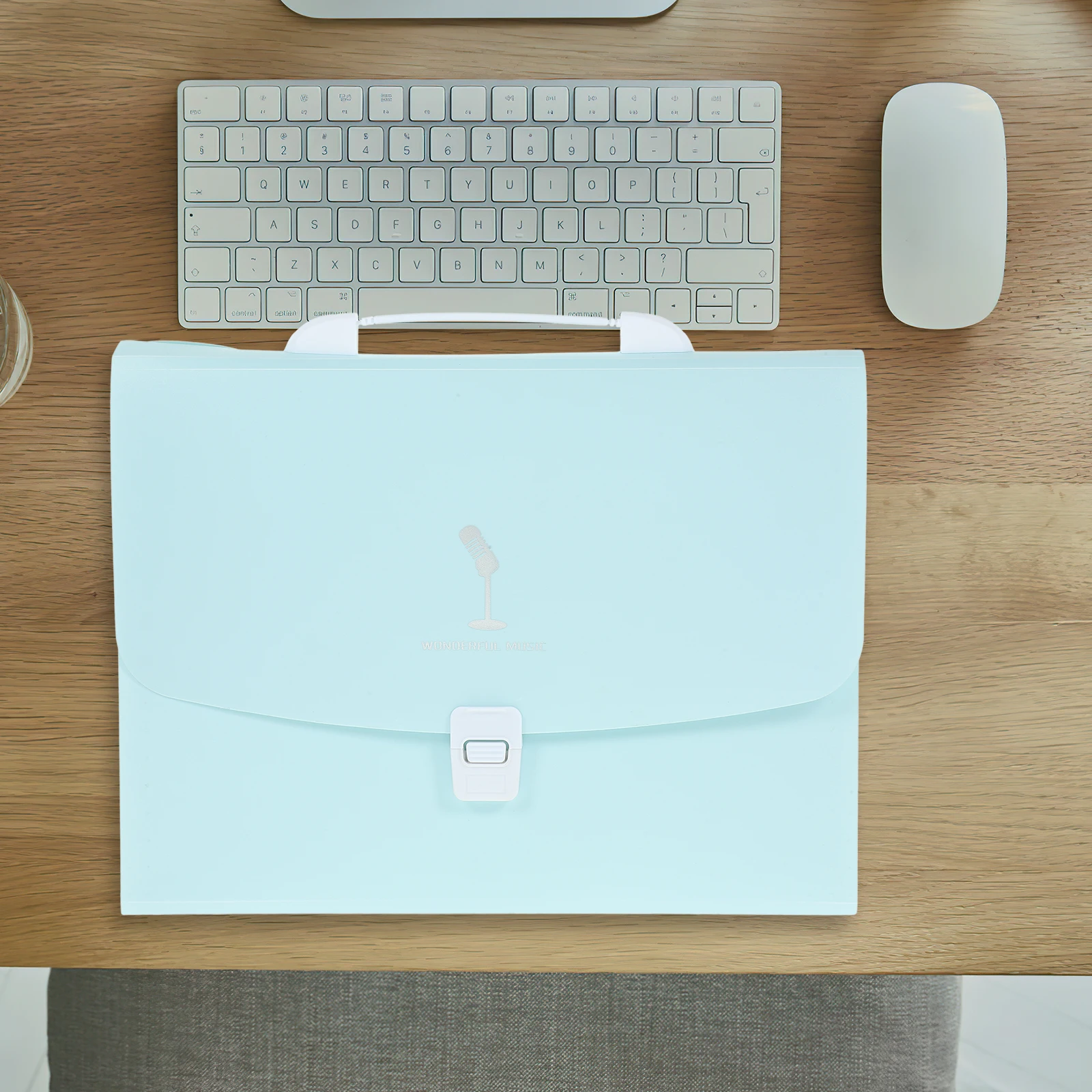 

File Folder Storage Organizer Multipurpose A4 Document Protector With Multiple Pockets For Bills Receipts Checks Plastic