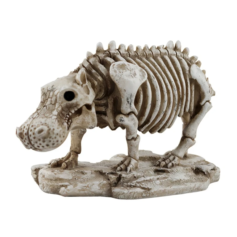 Detailed Resin Hippo Skeleton Skull Sculpture for Chilling Halloween Ambiances